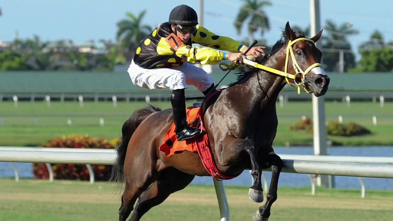 The true keys to winning at horse racing and other sports.