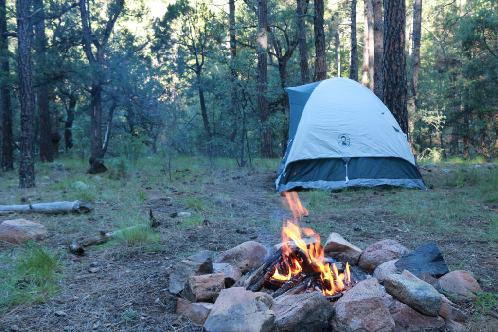 5 Reasons Why You Should Go Camping Today