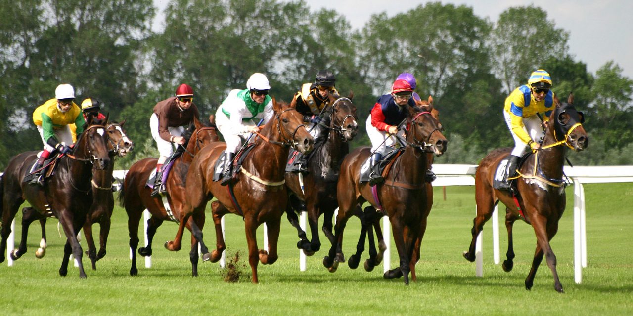 Horse Racing - Review 2007 Kentucky Derby