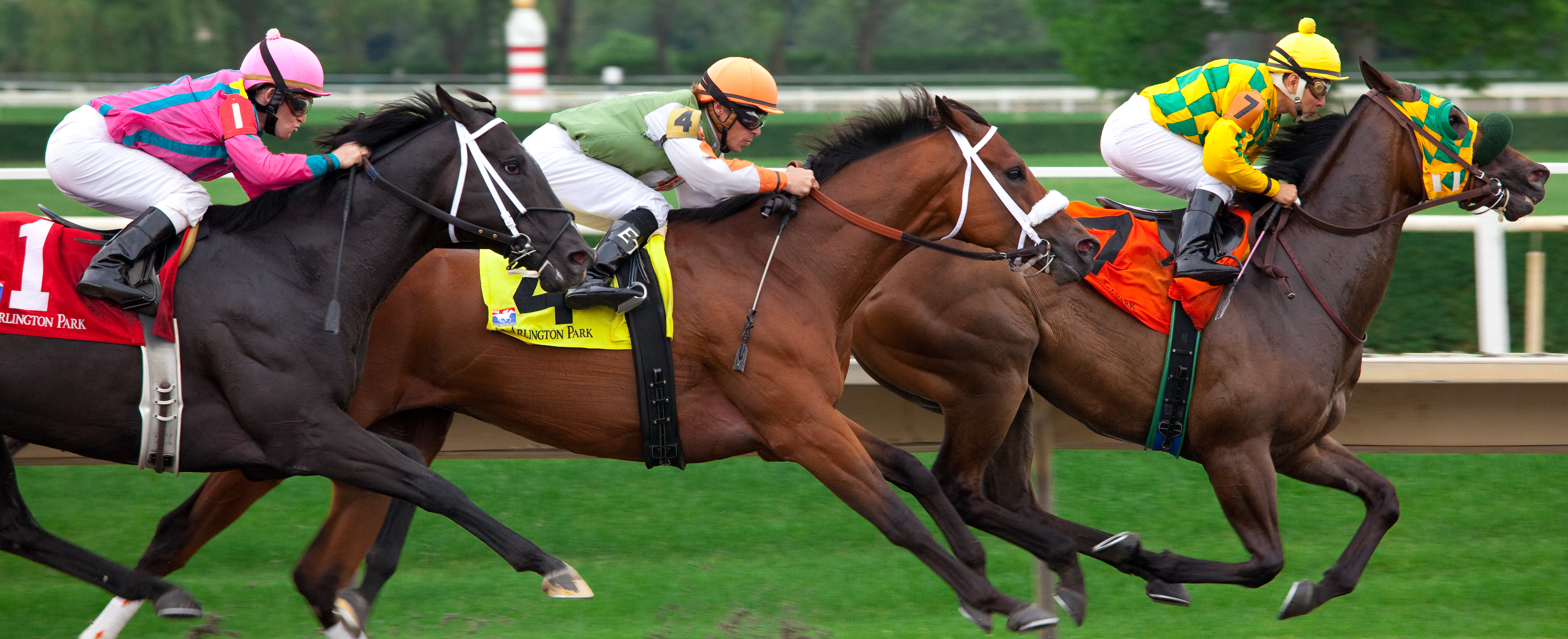 Evaluation of the 2009 Kentucky Derby